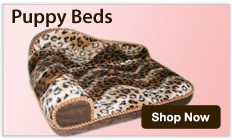 Puppy Beds