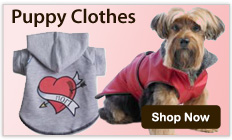 Puppy Clothes