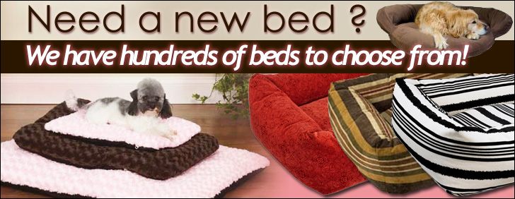 Dgo Bed Banner