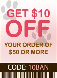 Coupon Banner