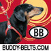 Buddy Belts