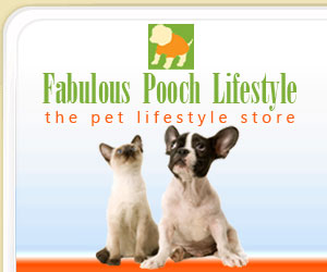 Fabulous Pooch
