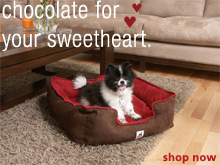Chocolate for your sweetheart