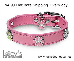 Lucy's Dog House