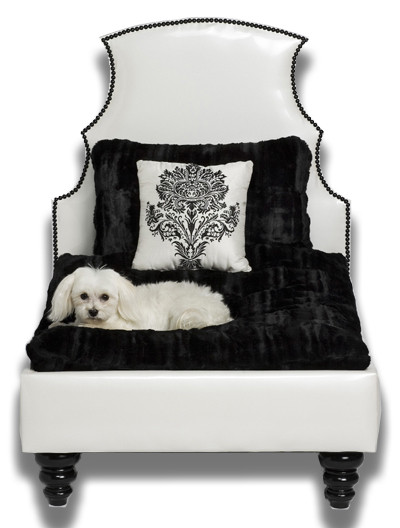  Boutique on Posh Puppy Boutique Dog Bed Giveaway   Puppytrends