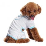 Dog in Pajamas