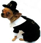 Dog Thanksgiving Gifts