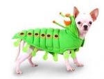 Caterpillar  Costume for Dogs