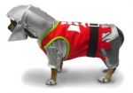 Sir Barks-A-Lot  Costume for Dogs