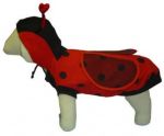 Ladybug  Costume for Dogs
