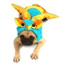 Colorful Owl  Costume for Dogs