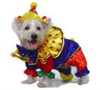Shiny Clown  Costume for Dogs