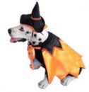 Witch Costume for Dogs