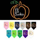 Lil' Punkin Bandana (Multiple Colors)