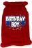 Birthday Boy Knit Sweater (Various Colors)