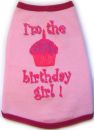 BIrthday Girl Knit Sweater (Various Colors)