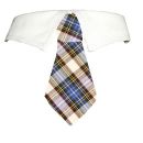 Blake Dog Shirt Collar