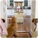 Auto Lock  Gate for Dogs