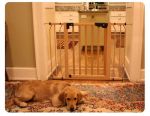 Auto Lock Pressure  Gate - Wood for Dogs