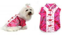 Chinese Cutie Costume