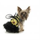 Daisy Bee Dog Costume