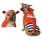 Foxy Dog Sweater