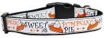 Pumpkin Pie Dog Collar
