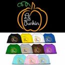 Lil' Punkin Screen Print Tee (Multiple Colors)