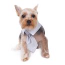 Adam Shirt  Collar Tie for Dogs