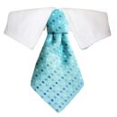Adrian Shirt Dog Collar