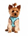 Aruba Blue Top Stitch American River Choke Free Dog Harness