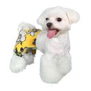 Aruba Dog Swim Trunks