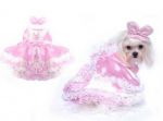 Barktoria Secret Dog Costume