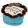 Birthday Boy Cake Toy