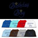 Birthday Boy Rhinestone Dog Shirt