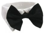 Black Bow Tie  Collar for Dogs