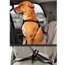 Black Seatbelt Restraint
