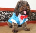 Classic Blue Dog Tuxedo