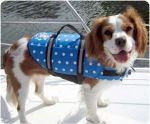 Polka Dot  Life Jacket for Dogs
