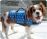 Polka Dot  Life Jacket for Dogs