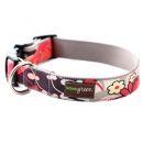 Brandy Dog Collars and Leashes