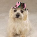 Camo Bucket  Hat for Dogs
