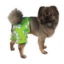 Cancun Dog Swim Trunks