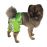 Cancun Dog Swim Trunks