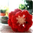 Candy Apple Flower for Dogs