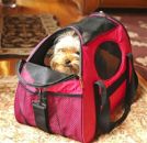 Carry-Me Fashion Dog Carrier