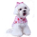 Charlotte Dog Raincoat