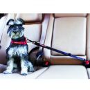 Click & Adjust Dog Car Restraint