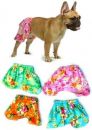 Board Shorts for Dogs
