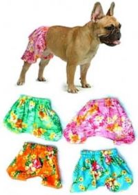 Board Shorts for Dogs